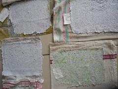 DSCN8315